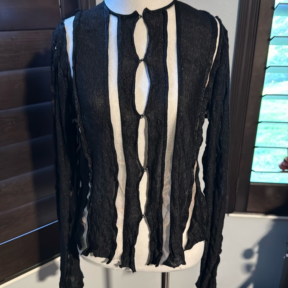 Zara see through mesh top